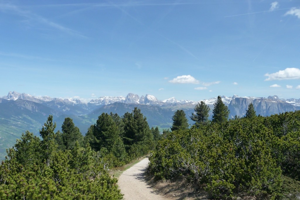 bevor man in den Panoramaweg nach Osten einbiegt und