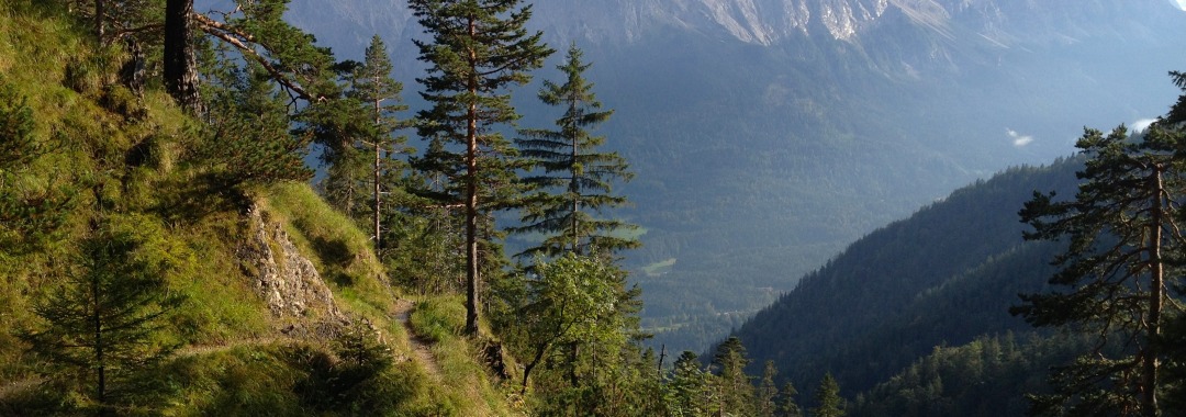 Ammergauer, Gelbes Gewänd Trail Zugspitzblick