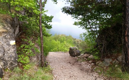 Passo Rochetta, 422er und Ponale Trail: Panoramareiche Trail-Runde mit Gardasee-Blick