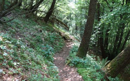 Monte Stivo / Le Prese Sattel: Flowiger Trail ins Sarca-Tal