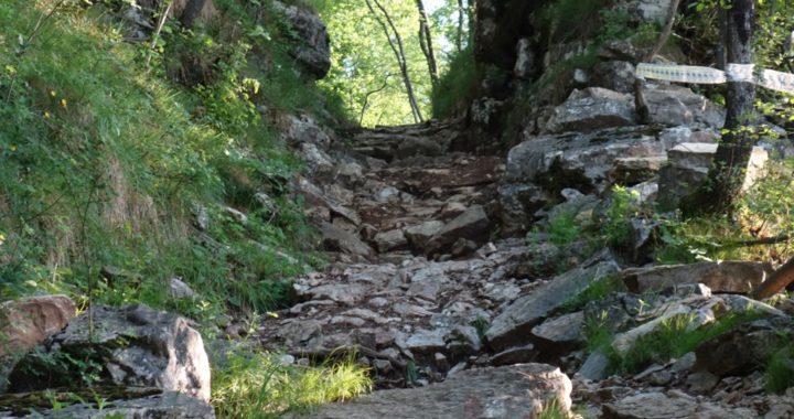 Dosso dei Roveri: Navene Trail & 601er-Klassiker ab Torbole