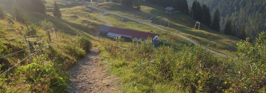 MTB Trails Setzberg, Tegernsee, Gipfellinie