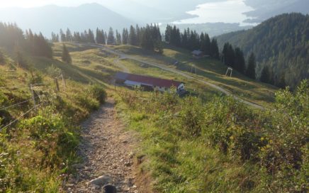 MTB Trails Setzberg, Tegernsee, Gipfellinie