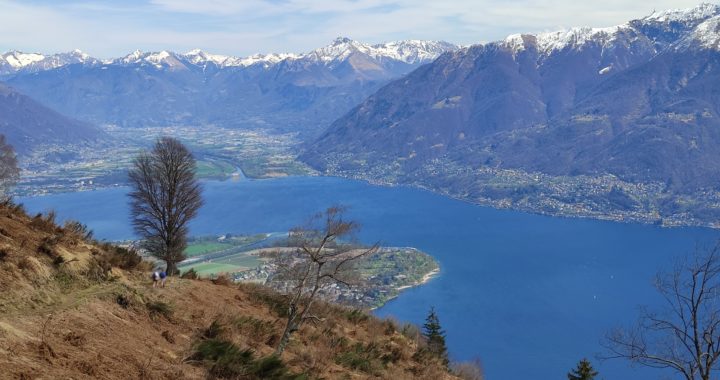 Ascona: Corona dei Pinci (1.294 m) Trails