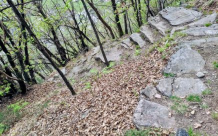 Der San Vittore Trail bietet eine beeindruckende Fahrt, die entspannt beginnt und zunehmend an Herausforderung gewinnt. D