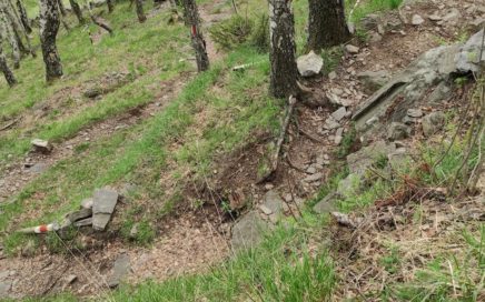 Sementina Trails: Hardcore-Bergwald-Abenteuer bei Bellinzona