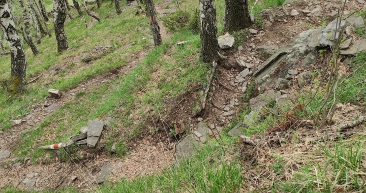 Sementina Trails: Hardcore-Bergwald-Abenteuer bei Bellinzona