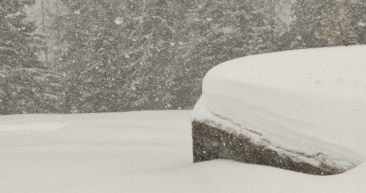 Georgien, Japan, Snow-Report